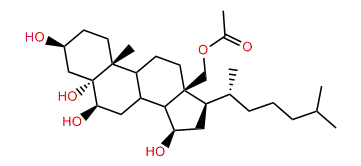 Dendronesterol B